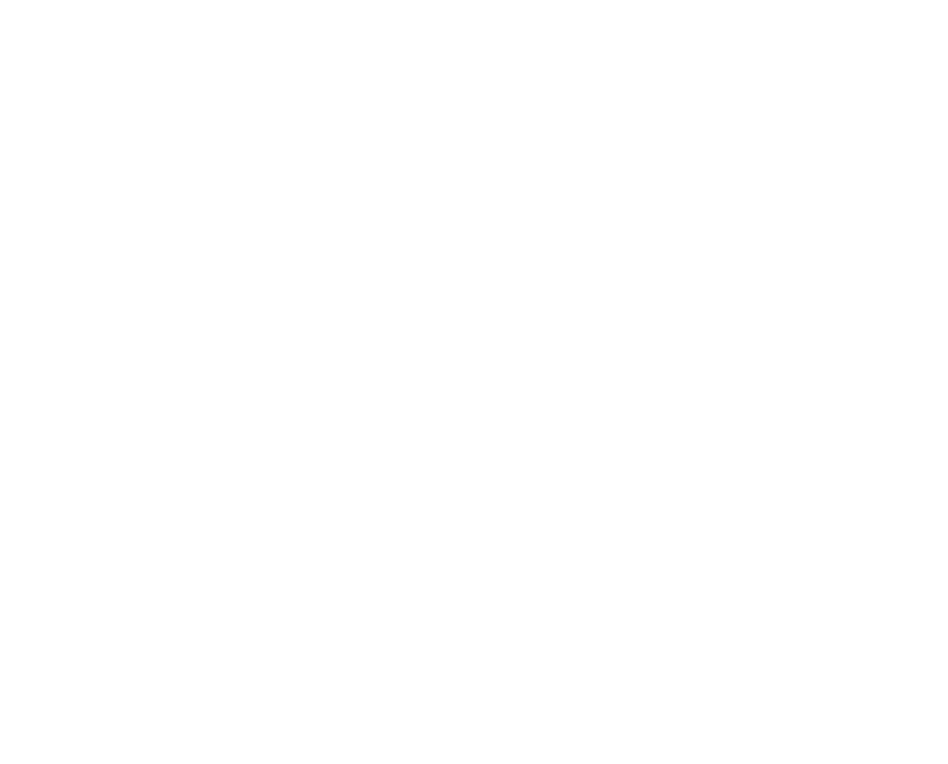 HowIPet Logo